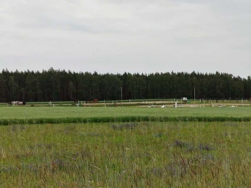 Działka w otoczeniu jezior.