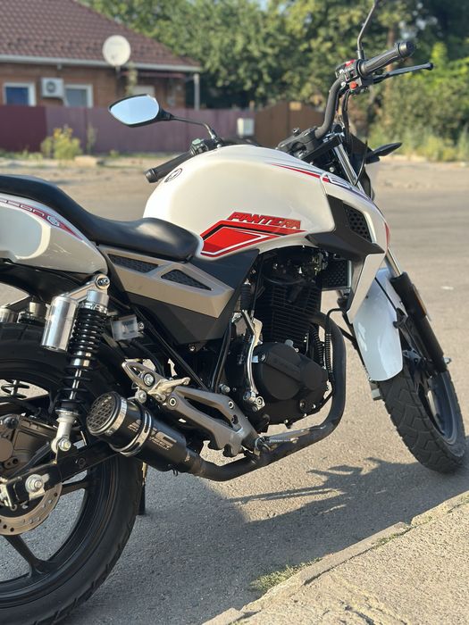 Geon pantera 250