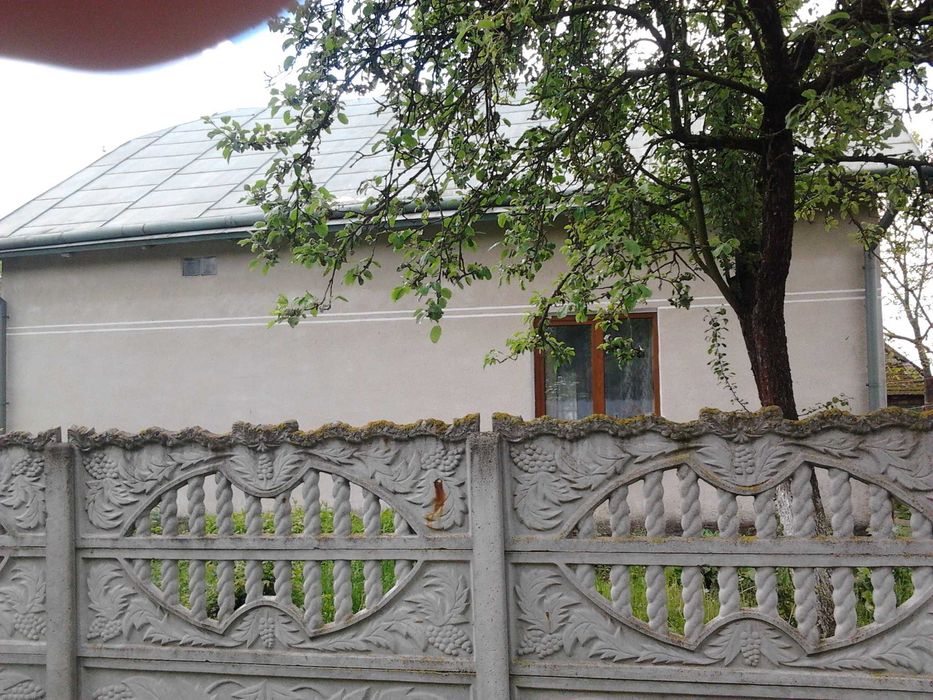 Продається будинок з земельною ділянкою