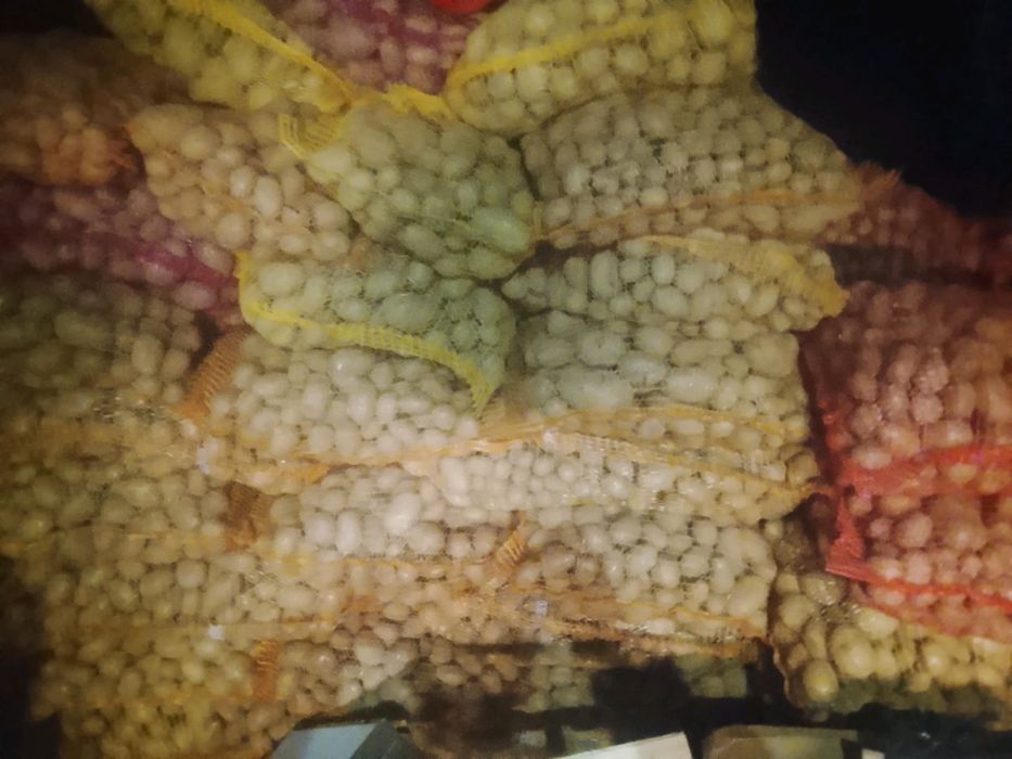 Sprzedam ziemniaki sadzeniaki