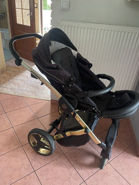 Spcerówka junama diamond