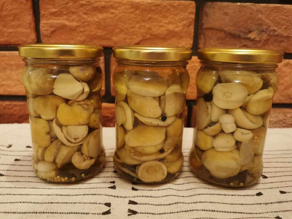 Borowiki / rydze marynowane