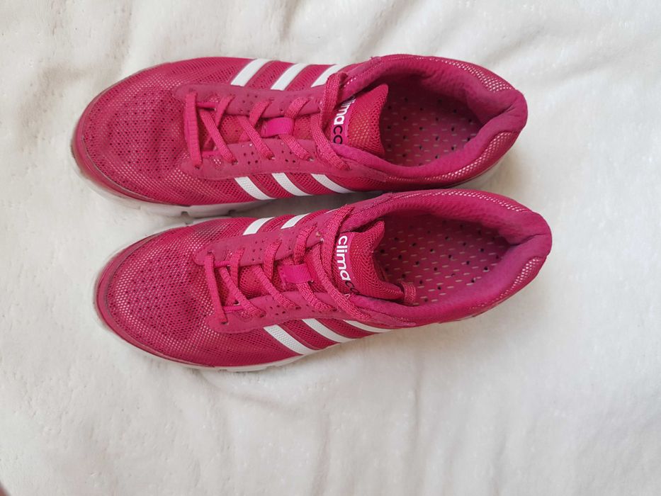 adidas Performance Cc Fresh W 40 climacool