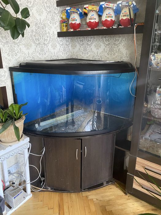 Продам б/у комплект кутового акваріума 390л Природа