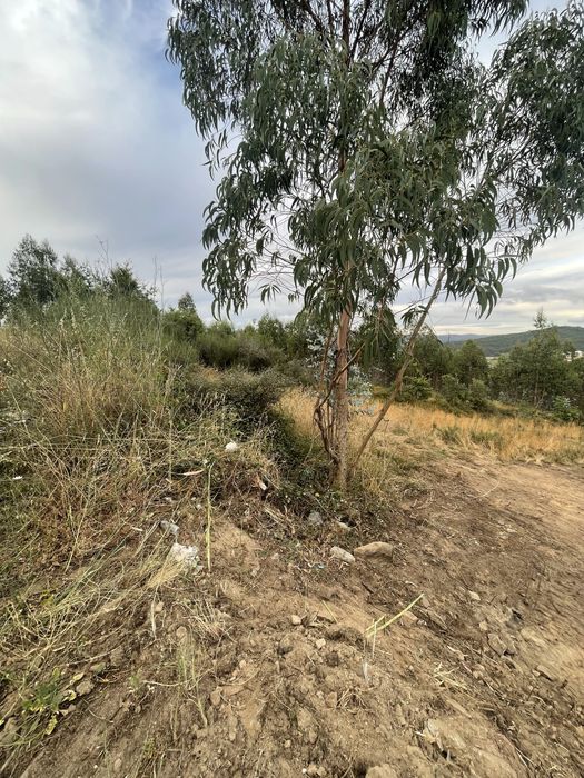 Terreno Alfena com 545m2