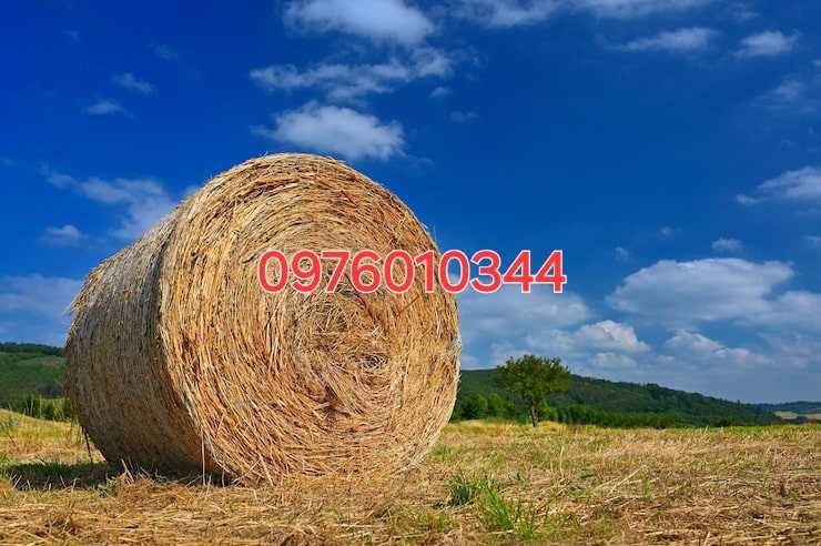 Сіно в рулонах.
