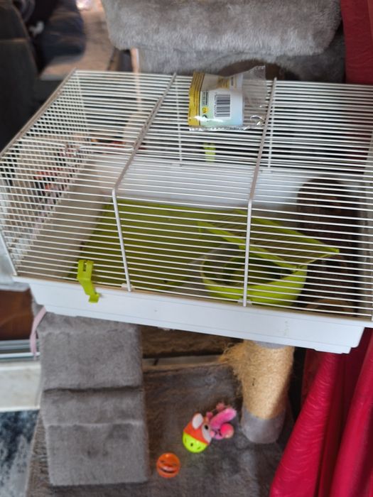 Gaiola branca com alguns acessórios