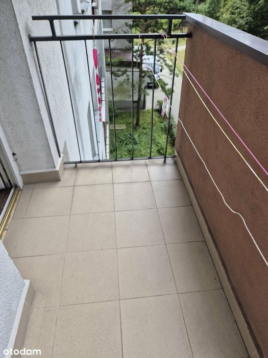 Przestronne i jasne 3 pokoje | Osobna kuchnia | Do remontu - Widok 5