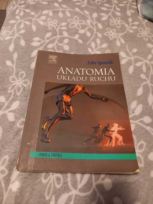 Anatomia układu ruchu książka