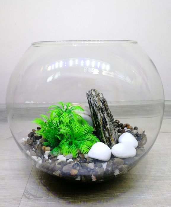 На подарунок Рибка Півник з акваріумом 7л | Повний комплект | Доставка