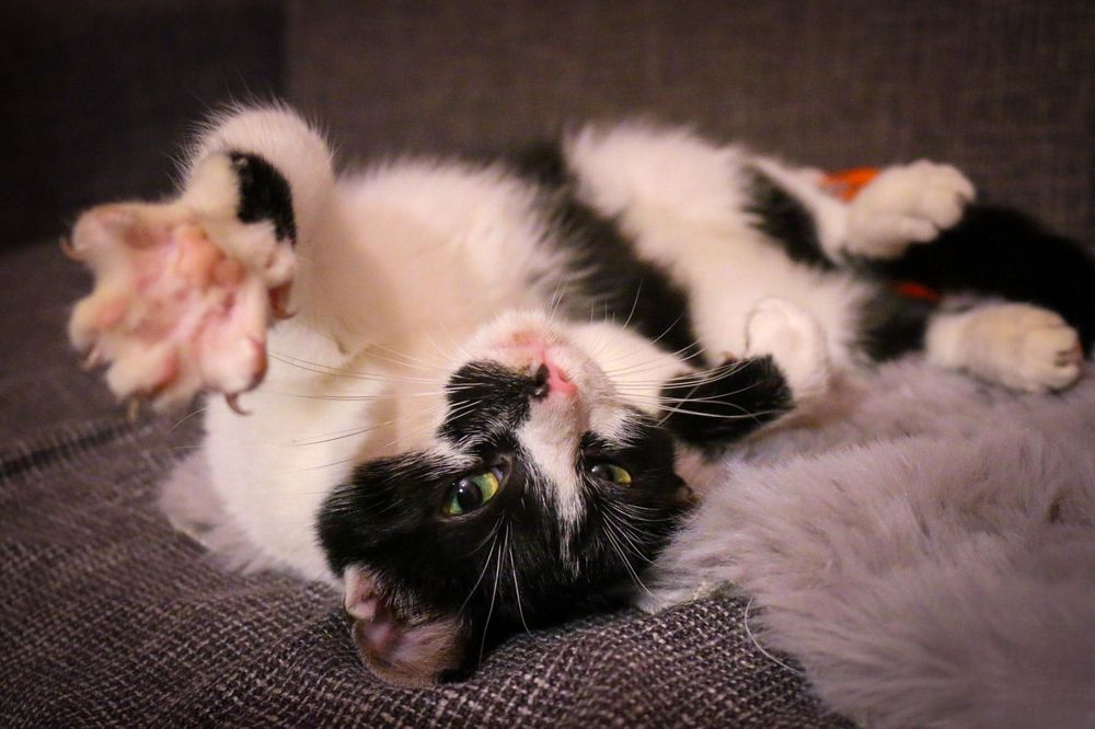 Czy ktoś mnie pokocha?