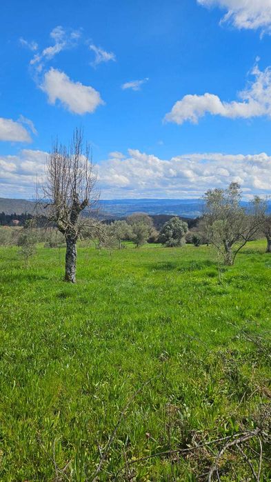 Terreno Frechão 2.2ha