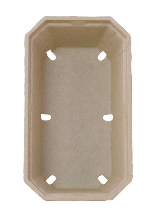 Pojemniki P500 MAX 500 ml opakowania na maliny, borówki, truskawki