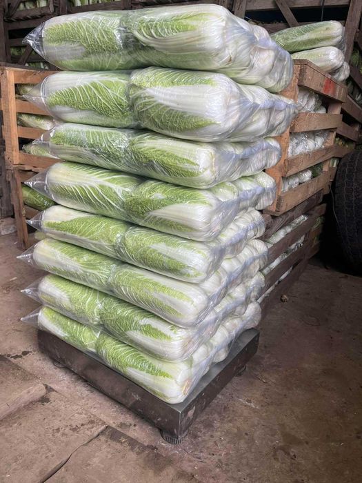 Пекінську капусту потребую на постійній основі