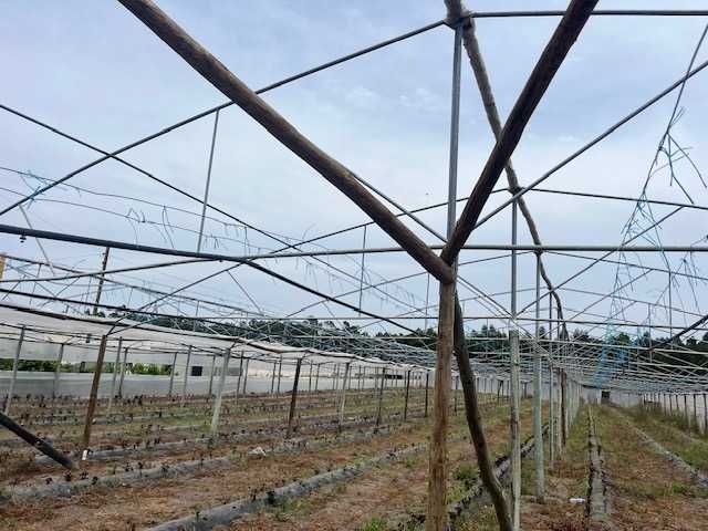 Vendo Arcos (Asnas) para Estufas – Ferro Galvanizado