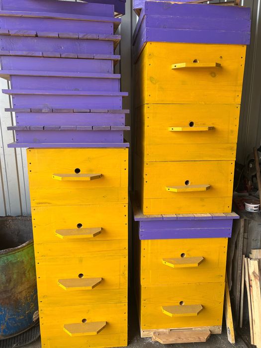 Продам вулики дадан 12 рамок