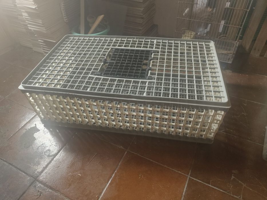 Gaiolas para animais