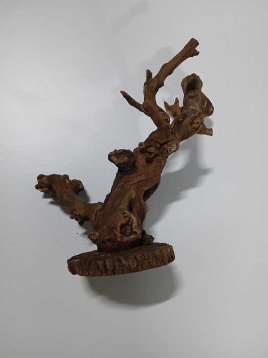 Decoração para terrarios