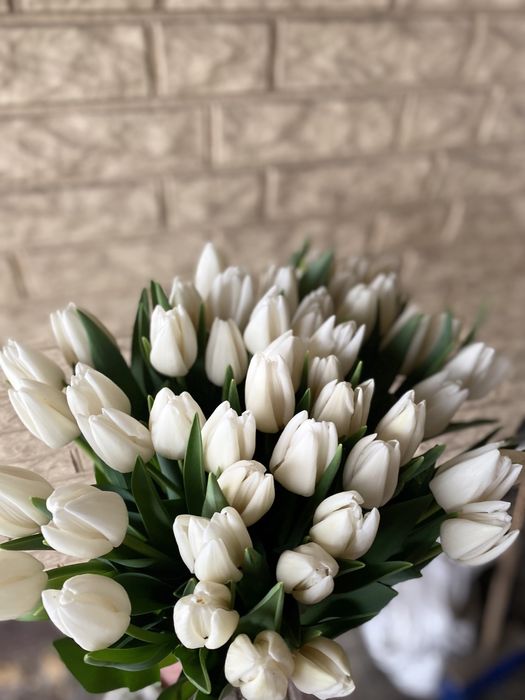 Пропоную тюльпан на гурт до свят -14.02 та 08.03