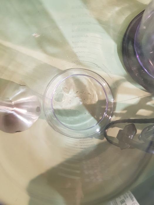 Russell Hobbs Blender mikser ręczny czarny