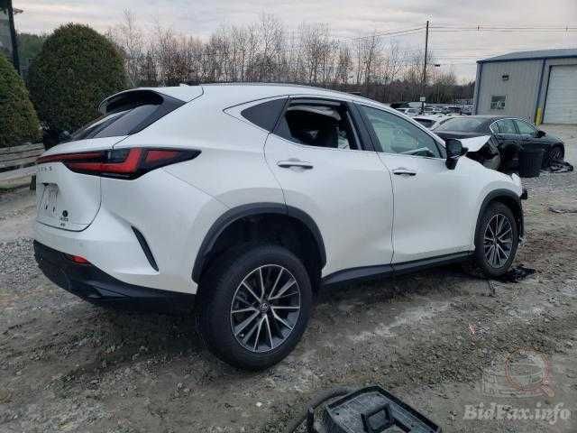Lexus Nx 350 2022 кузов
