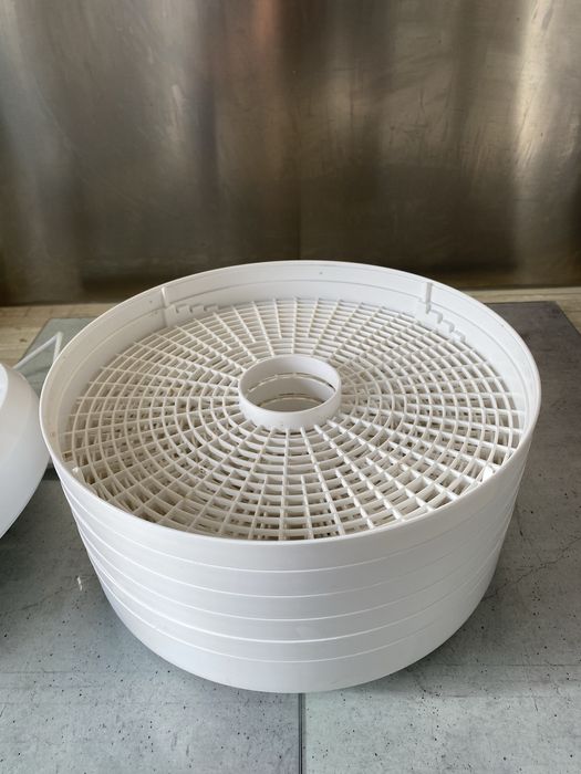 Desidratador de alimentos