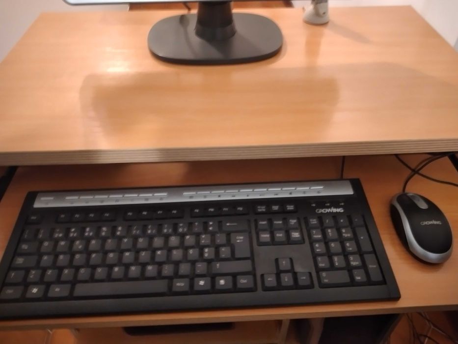 Philips Computer Keyboard with Mouse64585626556035120