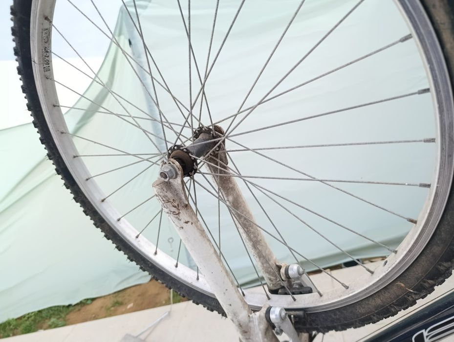 Bicicleta adulto