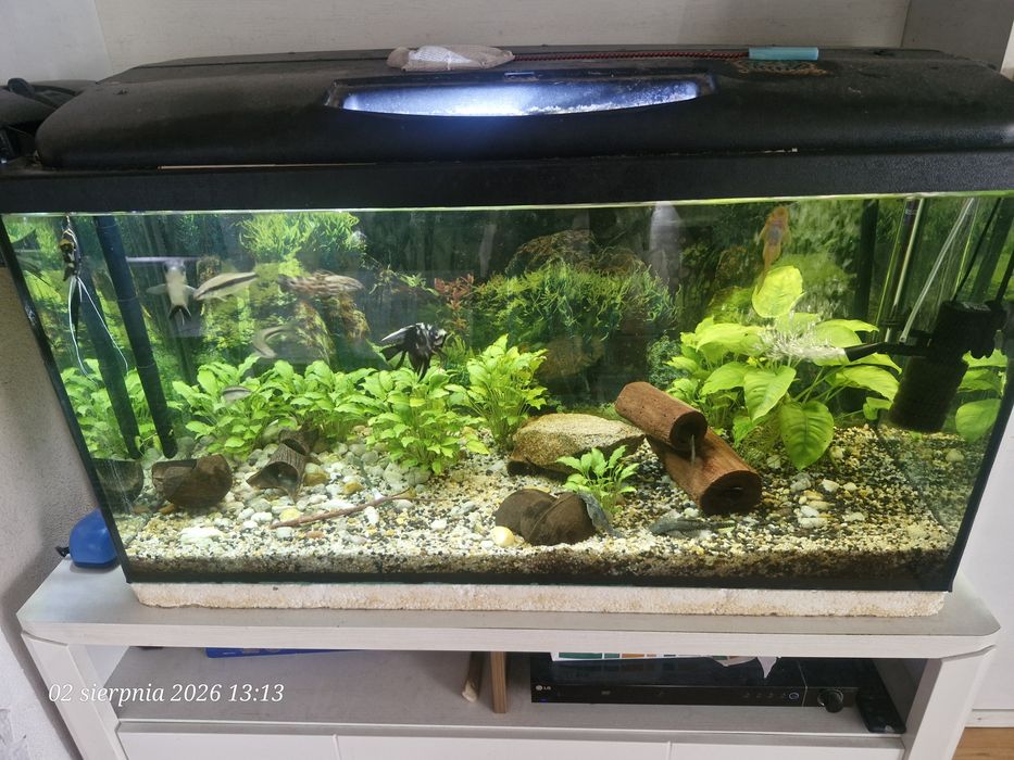 Akwarium kompletne okazja