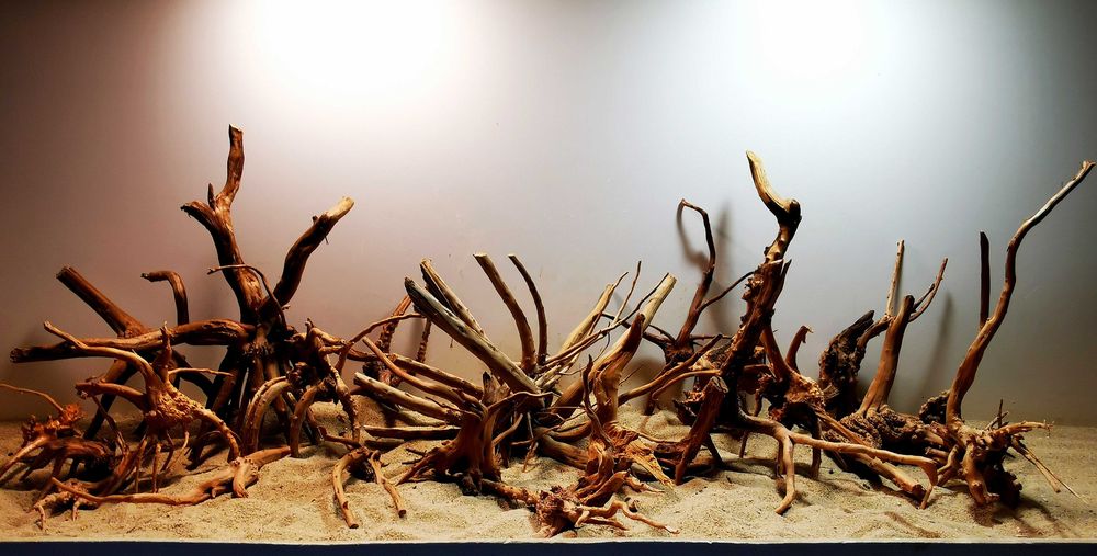 Korzenie Red Moor Root Nano 100g, korzenie do akwarium, Turkusowe Zoo