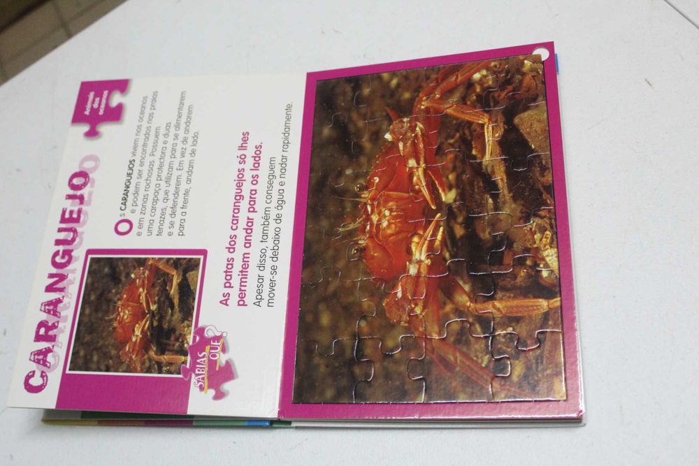 5 Puzzles - Animais dos Oceanos