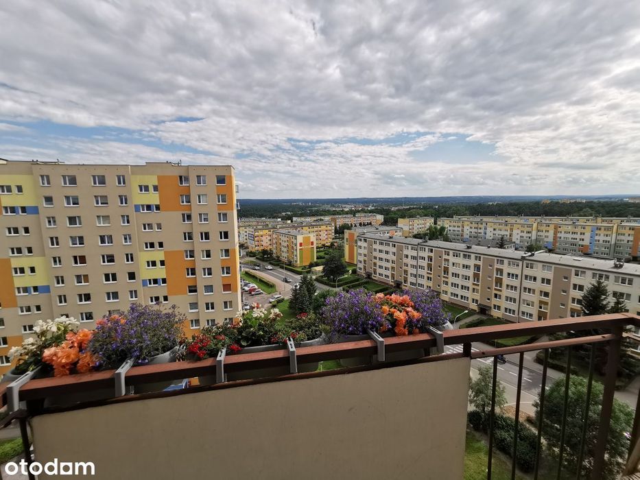 Przytulne Dwupokojowe na Strzemięcinie