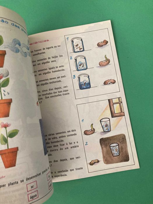 Livro Escola Primária Por Caminhos não andados Meio Físico e Social 2ª Classe Porto Editora