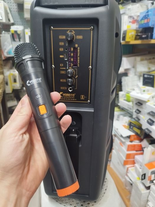 Karaoke Coluna Bluetooth com Microfone sem fio