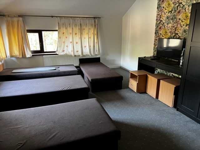 Dezynfekcja, dezynsekcja, deratyzacja, ozonowanie, pranie - Warszawa