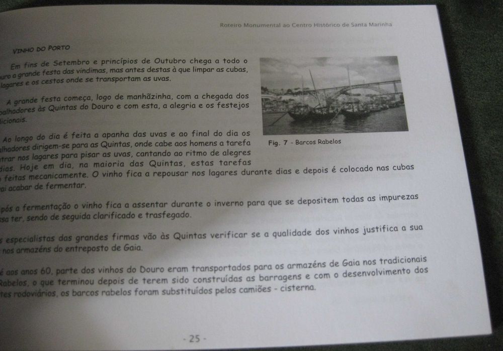 Roteiro Monumental ao Centro Histórico de Santa Marinha (V. N. Gaia)