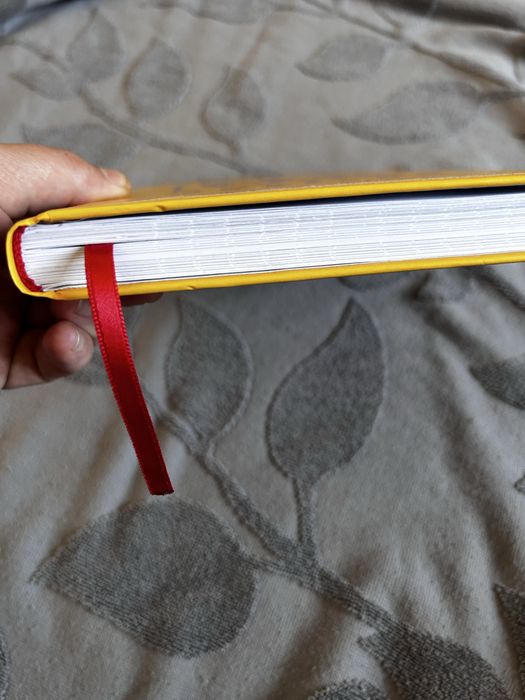 Книга «Не тупи. Щоденник» — Джен Сінсеро, нова