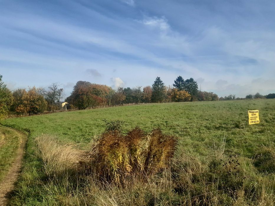 Działka z warunkami zabudowy, 1500 m2, Błeszno