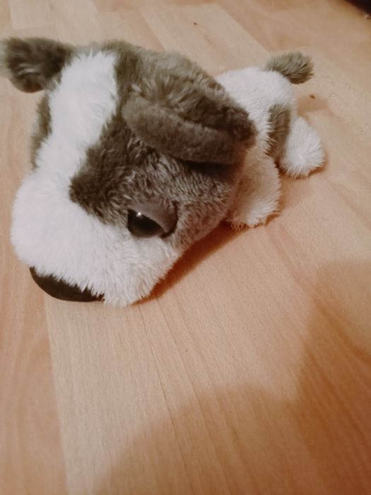 М'які іграшки Єнотик, песик