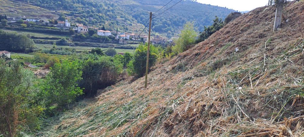 Terreno Loivos da Ribeira Baião