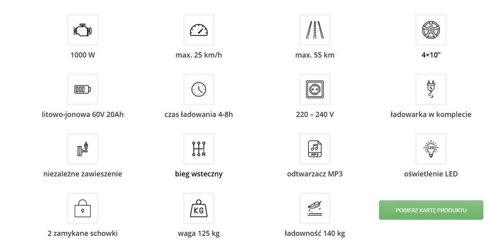Skuter Electroride Faster Max Lion [REZERWACJA]