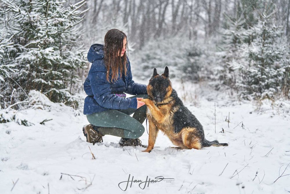 Pies dla Ciebie Niuton