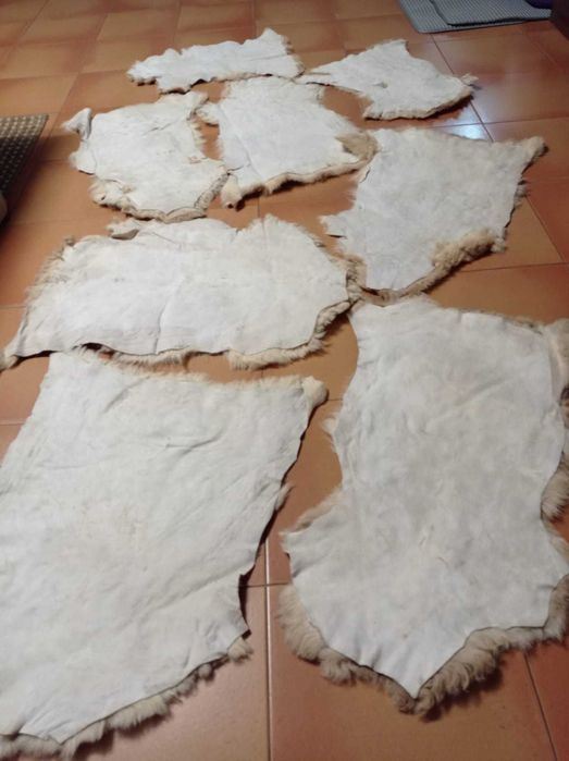 Peles Cordeiro em ótimo estado (55 peles)
