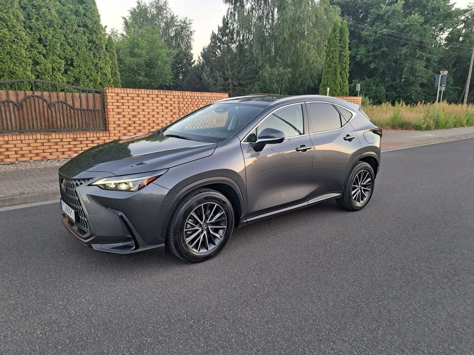 Lexus NX Bezwypadek na gwarancji [ Serwis]