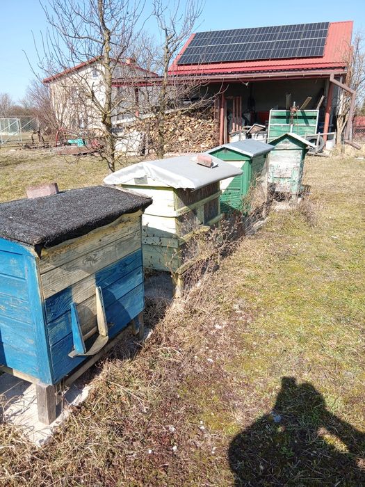 Ule, sprzęt pasieczny