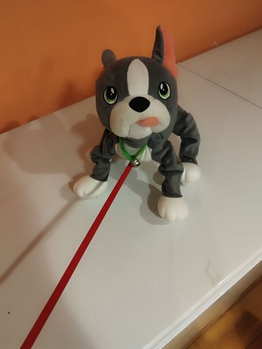 Epee boogi pies na smyczy zabawka