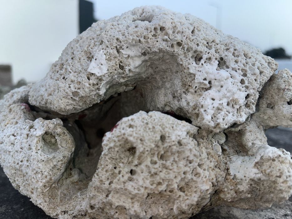 Pedra de coral para aquario ou terrario ou decoração