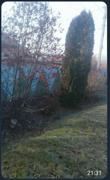 Продажа/обмен дом с.Лозовое