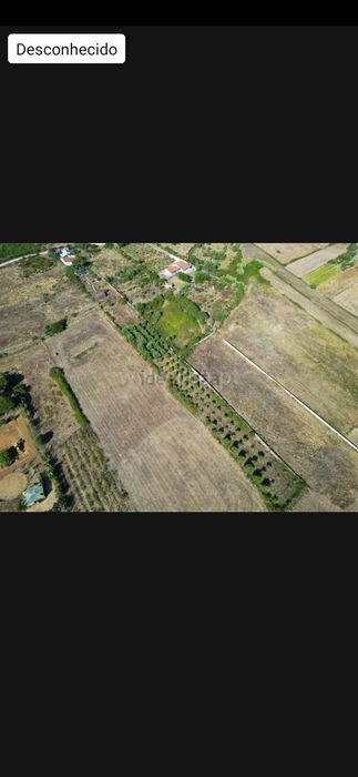 Vende-se Quinta com Casa e 5.000 m² de Terreno