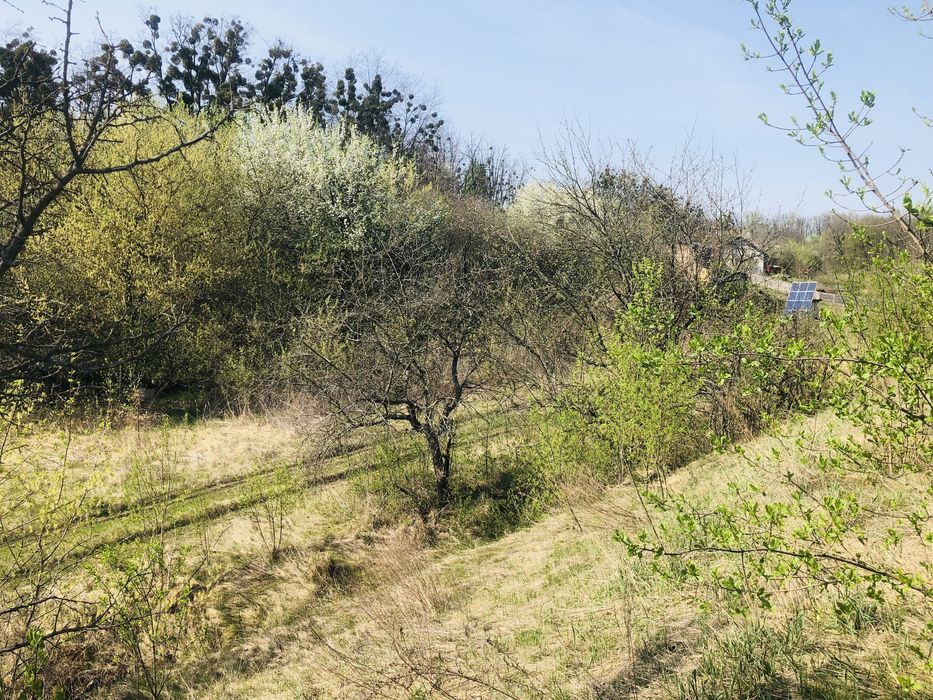 Земельна ділянка з асфальтованим під‘їздом